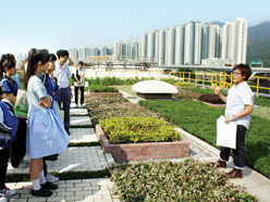 Our staff introduced green roof at Shatin Sewage Treatment Works