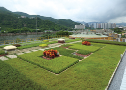 Green roof at Shatin Sewage Treatment Works (STW)
