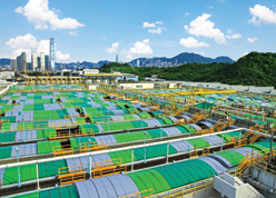 The sedimentation tanks have been covered with a random pattern of multi-coloured units which enhances the appearance of the tanks and forms part of the odour control system