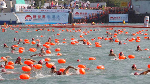 Cross-harbour Swimming Race