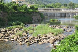 《河道設計的環境和生態考慮指引》中列舉的例子：濠涌河(左)及白銀鄉河(右)的魚梯