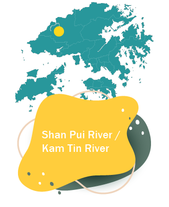 Shan Pui River / Kam Tin River