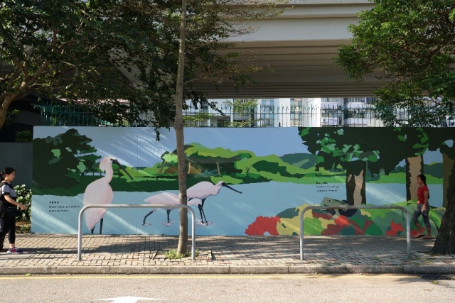 壁画中展出的一些本地物种，例如黑脸琵鹭，卢氏小树蛙等