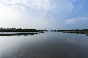 Nam Sang Wai Kam Tin River Estuary