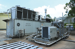 沙田污水处理厂的热电联供发电机