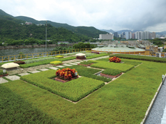 Green roof at Shatin Sewage Treatment Works