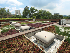 Green roof at Kau Hui Sewage Pumping Station Compound