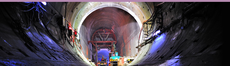 The Year's Highlights