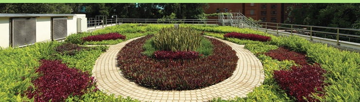 Managing the Environment