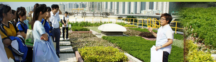 Engaging the Community