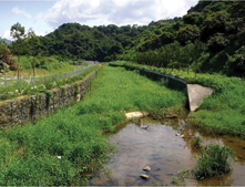 The engineered She Shan River
