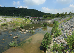 河道堤岸两旁均铺设石笼或混凝土草格，模仿原有河道环境