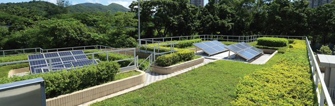 Integrating Sustainable Designs