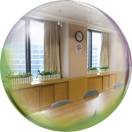 Provision of potted plants in conference room