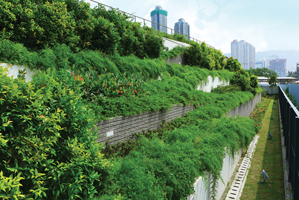 九龍城二號污水泵房的垂直綠化