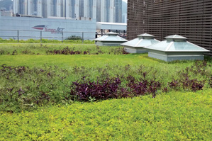 Plant Smartly - Applying Soft Landscaping in Congested Environment