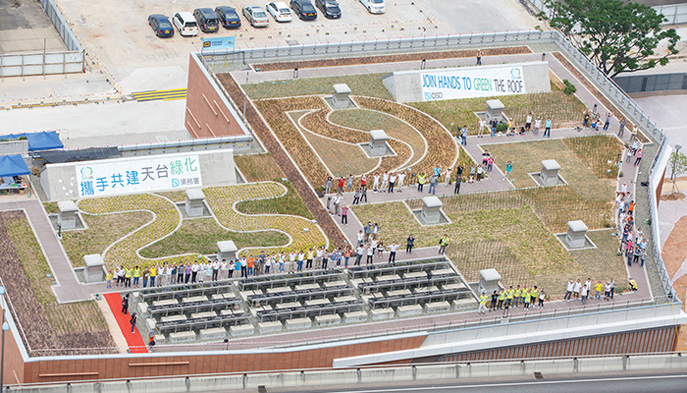 Shrubs arranged by participants on the rooftop in commemoration of the 25th anniversary of DSD’s establishment