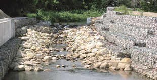 於西貢蠔涌河利用天然物料建造的魚梯