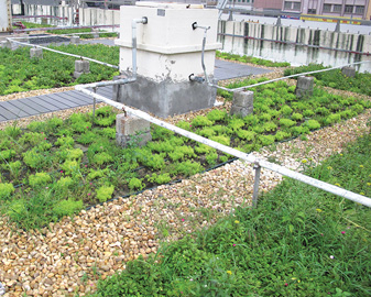 馬鞍山 落禾沙污水泵房