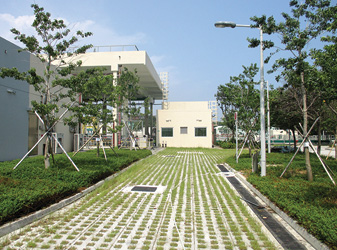 混凝土草格地面