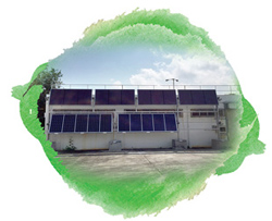 沙田污水處理廠內的太陽能板