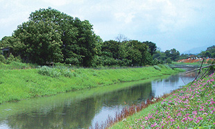 上水雙魚河上游採用土工布鋪設河堤及河床