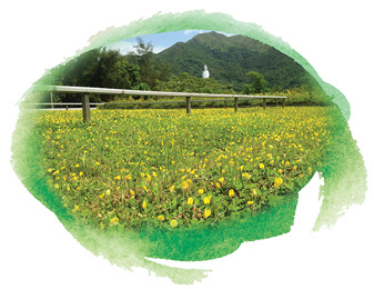 大埔船灣雨水泵房