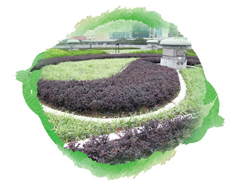 九龍灣污水截流站及泵房