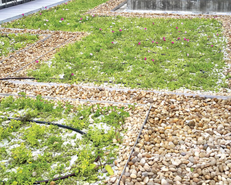 觀塘中途污水泵房