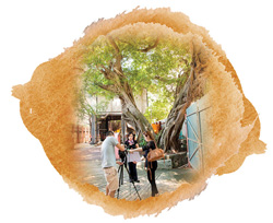 高級工程師鄭雅思女士接受新華社香港分社專訪