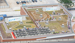 Shrubs arranged by participants on the rooftop