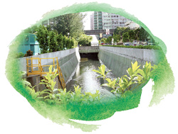 現時的觀塘敬業街明渠與周邊環境