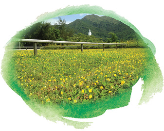 大埔船灣雨水泵房