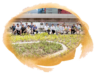 Planting activity “Join Hands to Green the Roof”