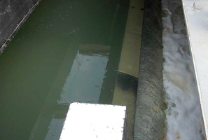 污水首次流入昂船洲污水处理厂的新沉淀池