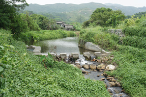 《河道设计的环境和生态考虑指引》中列举的例子：濠涌河(左)及白银乡河(右)的鱼梯