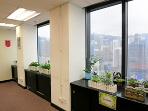 Potted plants at the meeting room