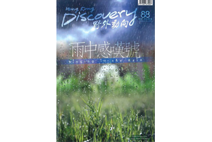 《野外动向》刊载专题文章「雨城•香港－(II)跑马地的秘密：两水暂驻地」