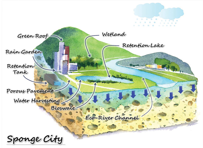 Schematic Drawing of the “Sponge City” concept