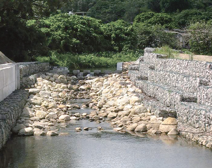 蠔涌河的魚梯由不規則的石塊和卵石形成