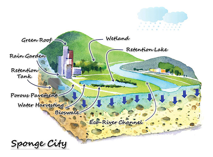 Schematic Drawing of the 'Sponge City' Concept