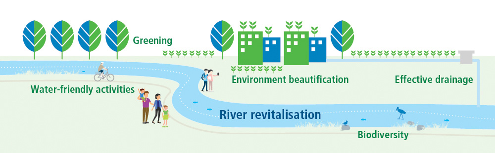 River Revitalisation Elements