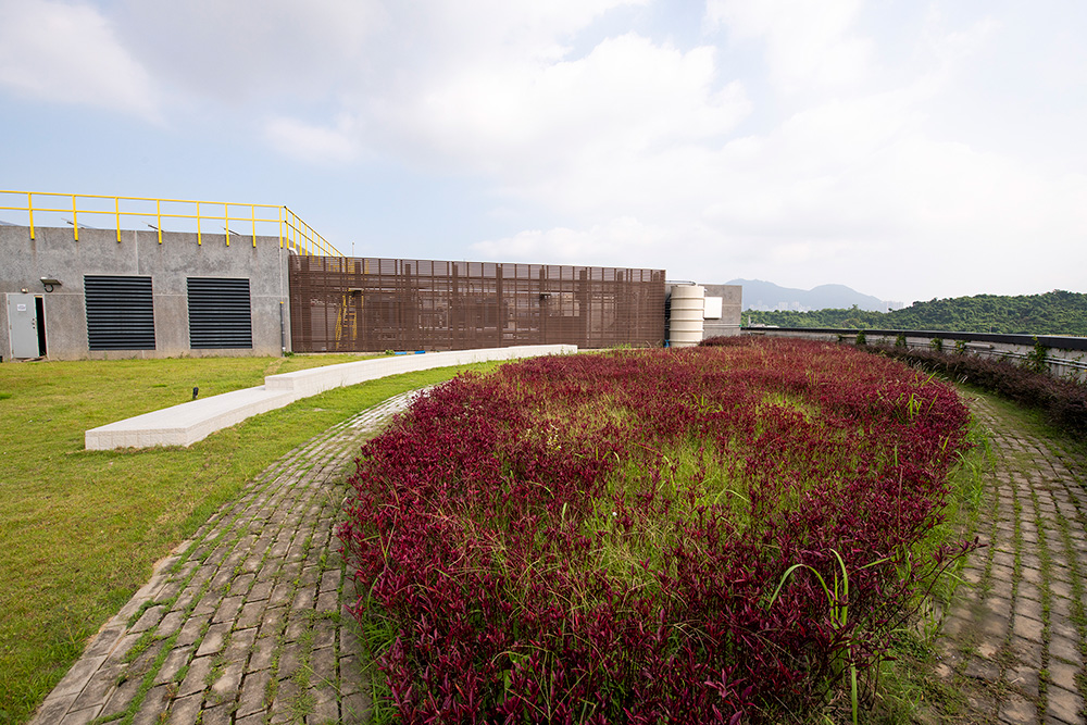 Green Roof at Stonecutters Island Sewage Treatment Works