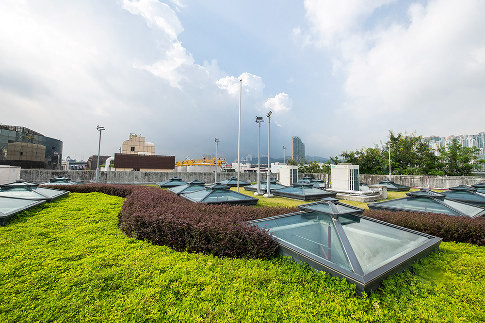 昂船洲污水处理厂化学物储存楼绿化天台 