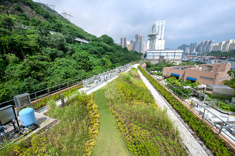 香港仔基本污水处理厂天台绿化工程 