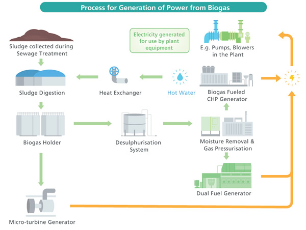 Process for Generation of Power from Biogas