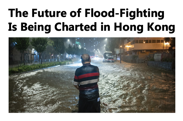 Bloomberg News Interviewed the Director of Drainage Services