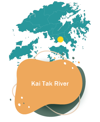 Kai Tak River