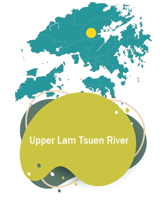 Upper Lam Tsuen River