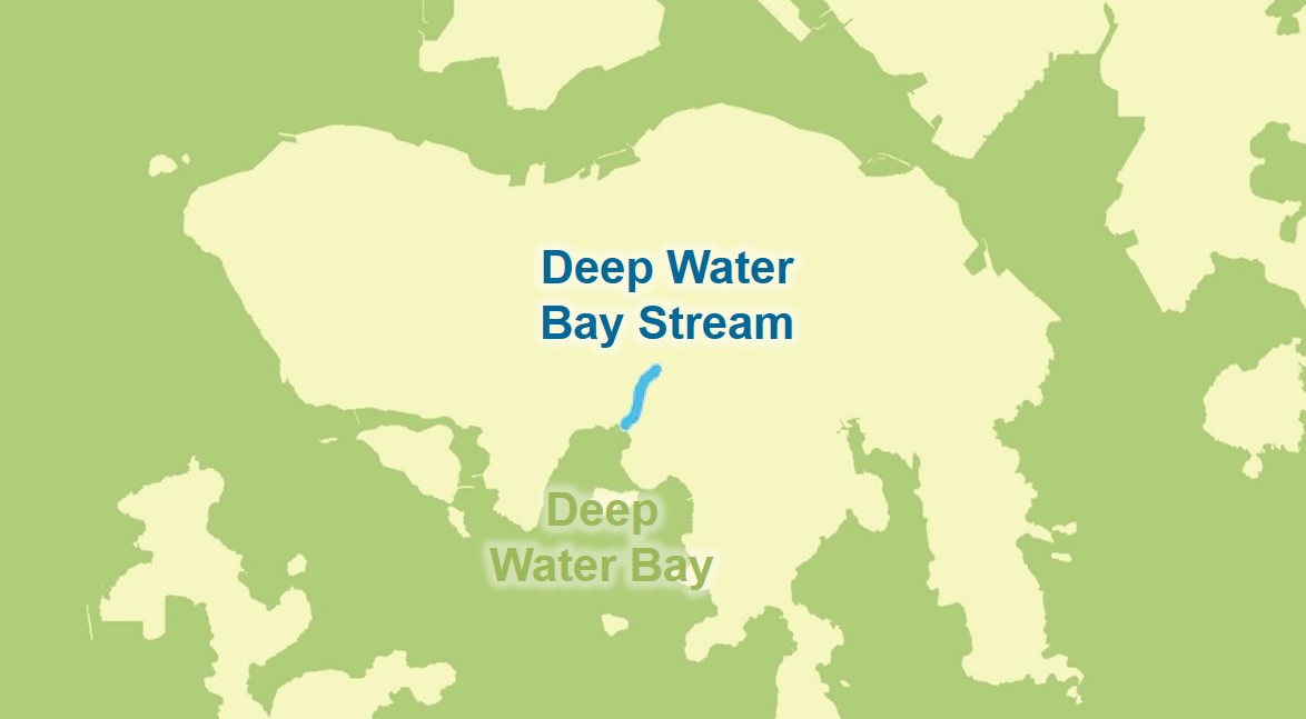 Deep Water Bay Stream